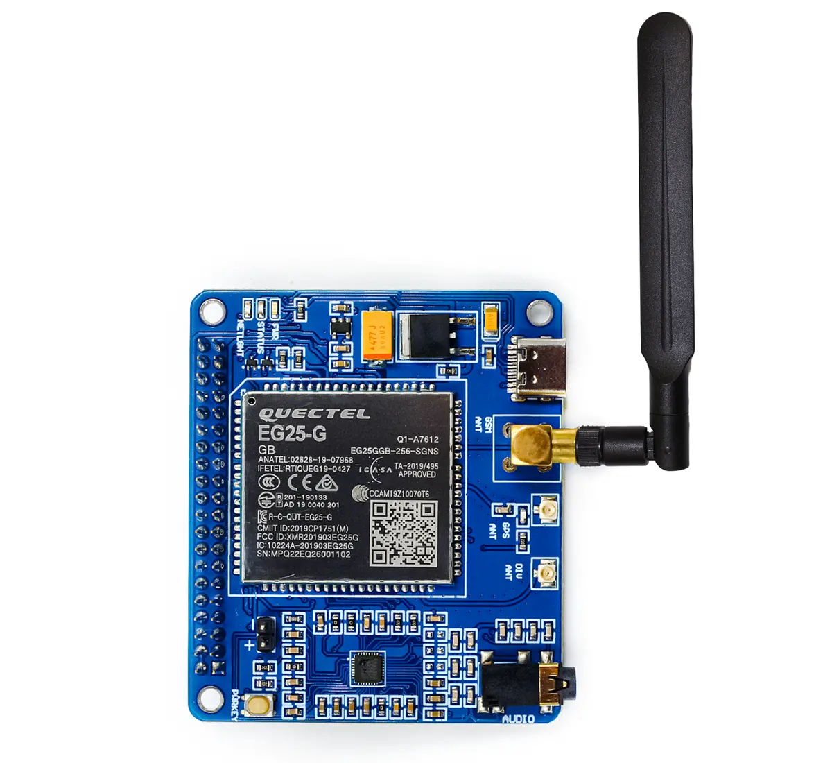 Pitalk - 4G Iot Hat 1