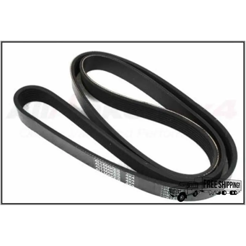 Serpentine Belt 1
