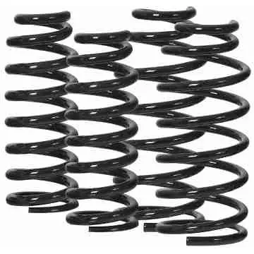 Ome Defender Constant Load (660Lbs To Gvw) D110 Rear Spring 1
