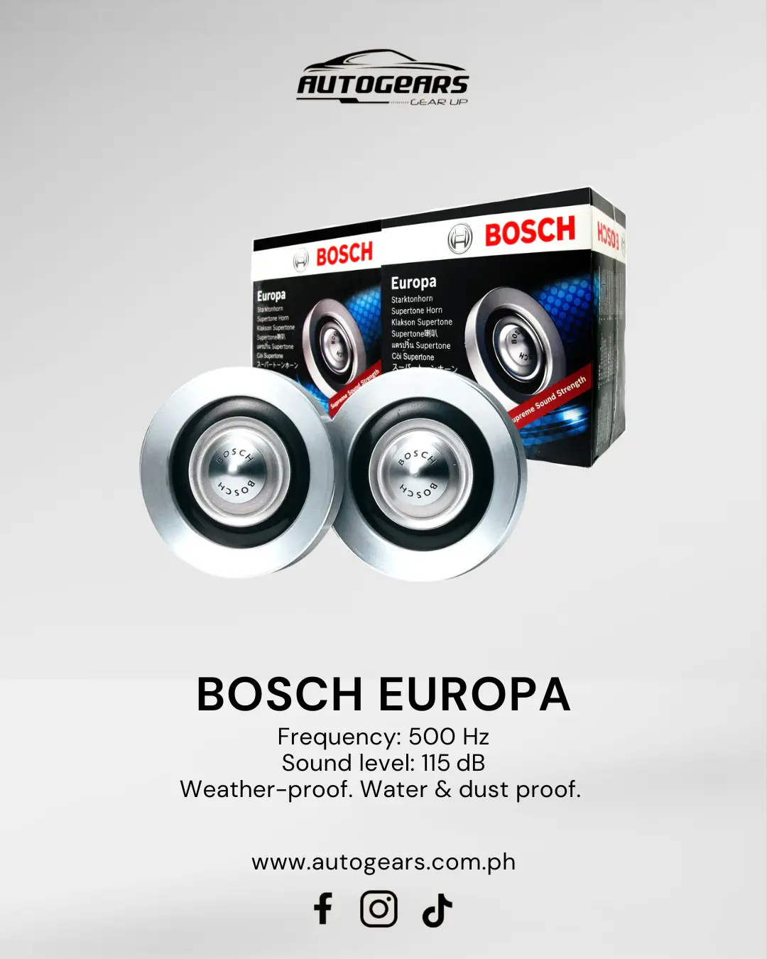 Bosch Europa Horn 1