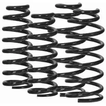 Ome Extra Heavy Constant (220-350Lbs) Front Spring 1