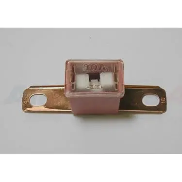30 Amp Fusible Link 1