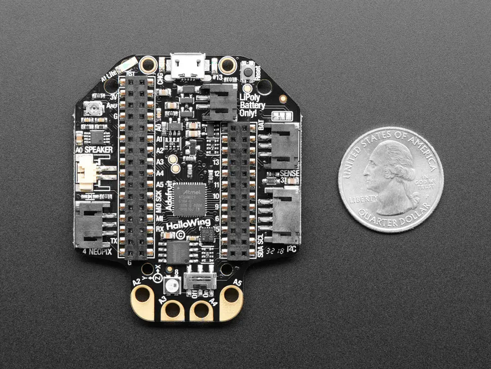 Adafruit Hallowing M0 Express 1