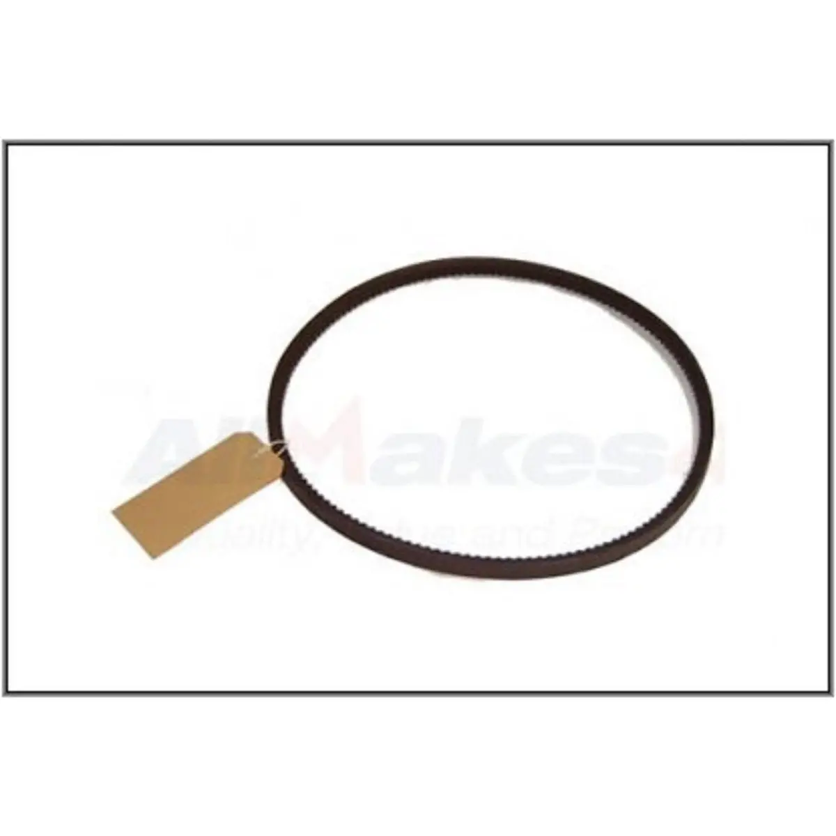 Belt Polyvee Alternator 1