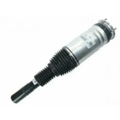 Bwi Oem Front Strut - Rh 1