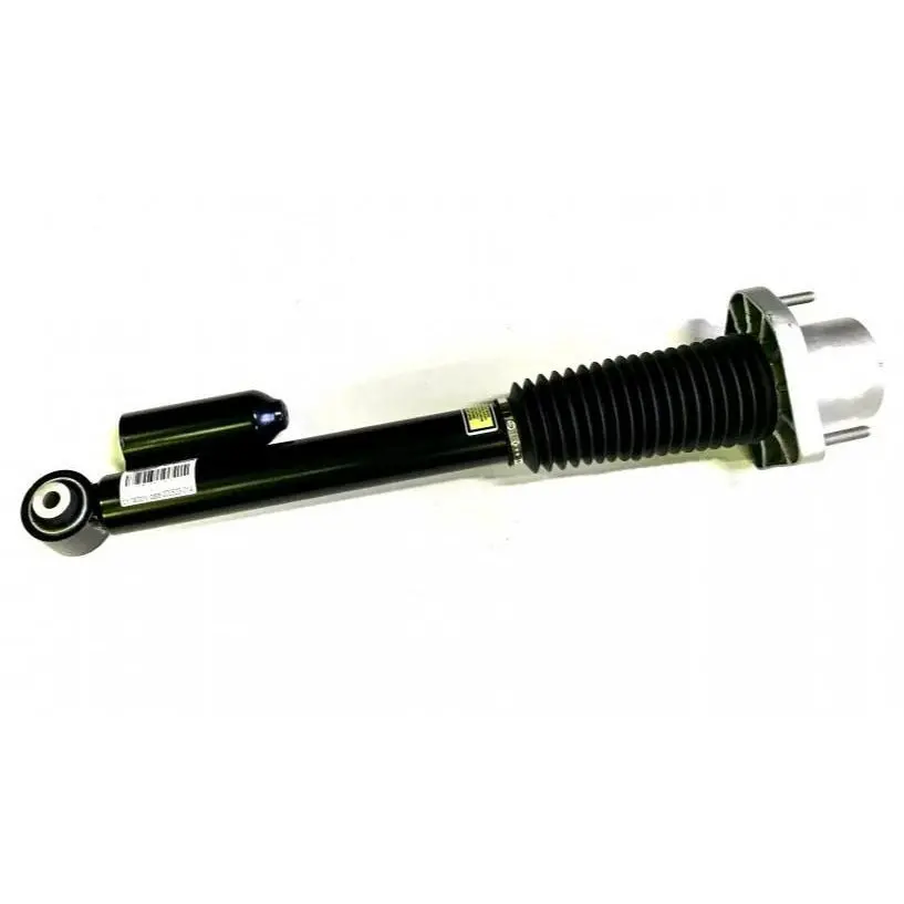 Strut Assembly Rear Right Genuine 1