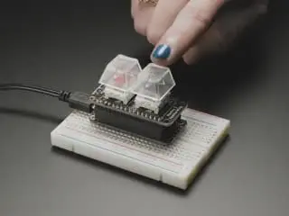 Neokey Featherwing - Two Mechanical Key Switches With Neopixels 1