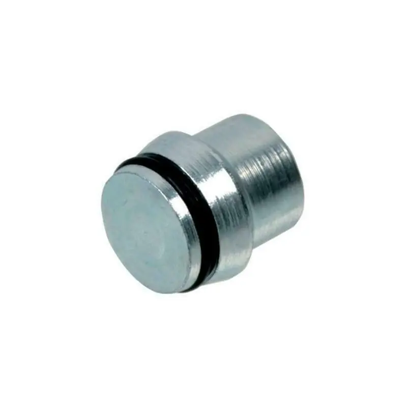 Engine Oil Pump Blanking Plug 1