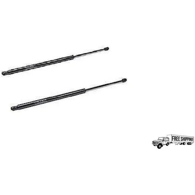 Tail Gate Door Strut Lift Set Lh Rh 1