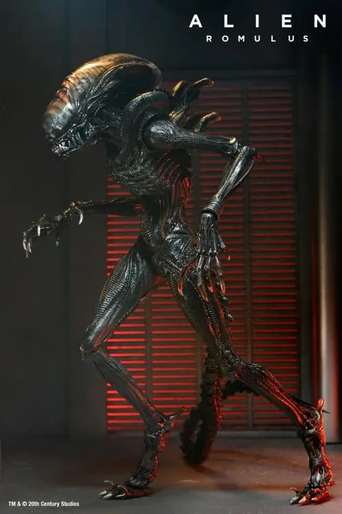 (Dented Box) Neca Alien Romulus Ultimate Scorched Alien Xenomorph Figure 1