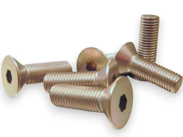 Door Hinge Bolts - Scout 80/800 1