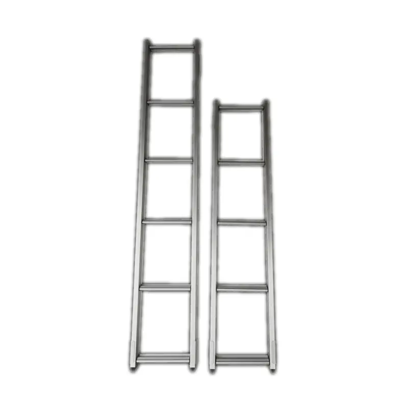 Aluminum Ladder 1