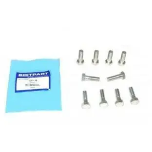 M10 X 30 X 1.25 Fine Thread Bolts Set Of 10 1