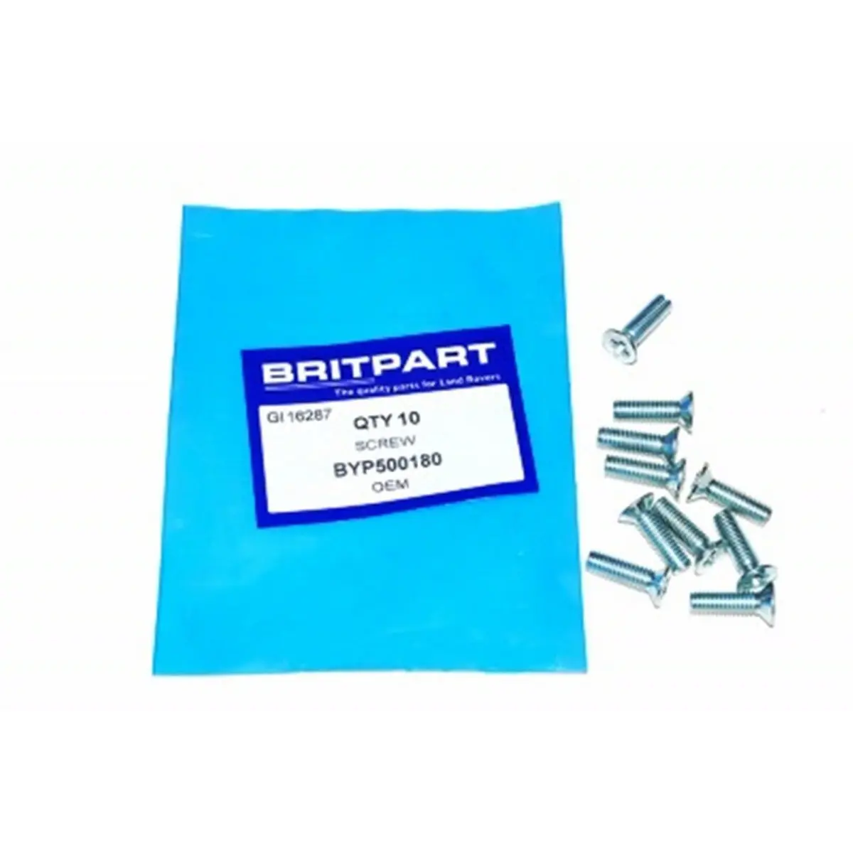 Set Of 10 Screw M6 X 20Mm Countersunk 1
