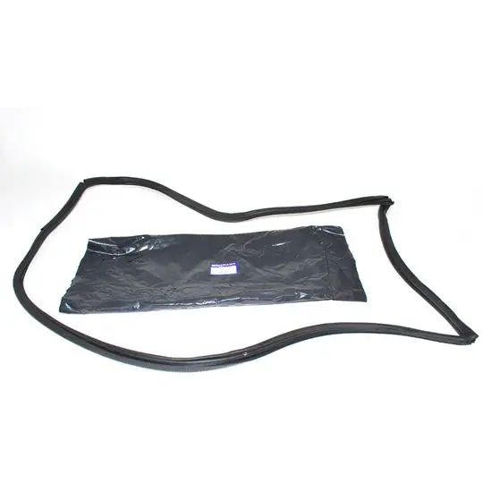 Rear Side Door Seal 1