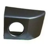Genuine Driver Door Handle Cap 1