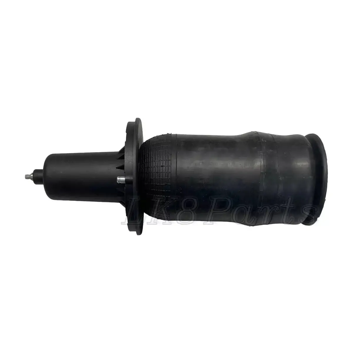 Front Air Spring Suspension Strut 1