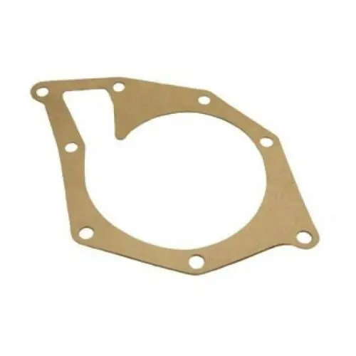 Water Pump Gasket 1