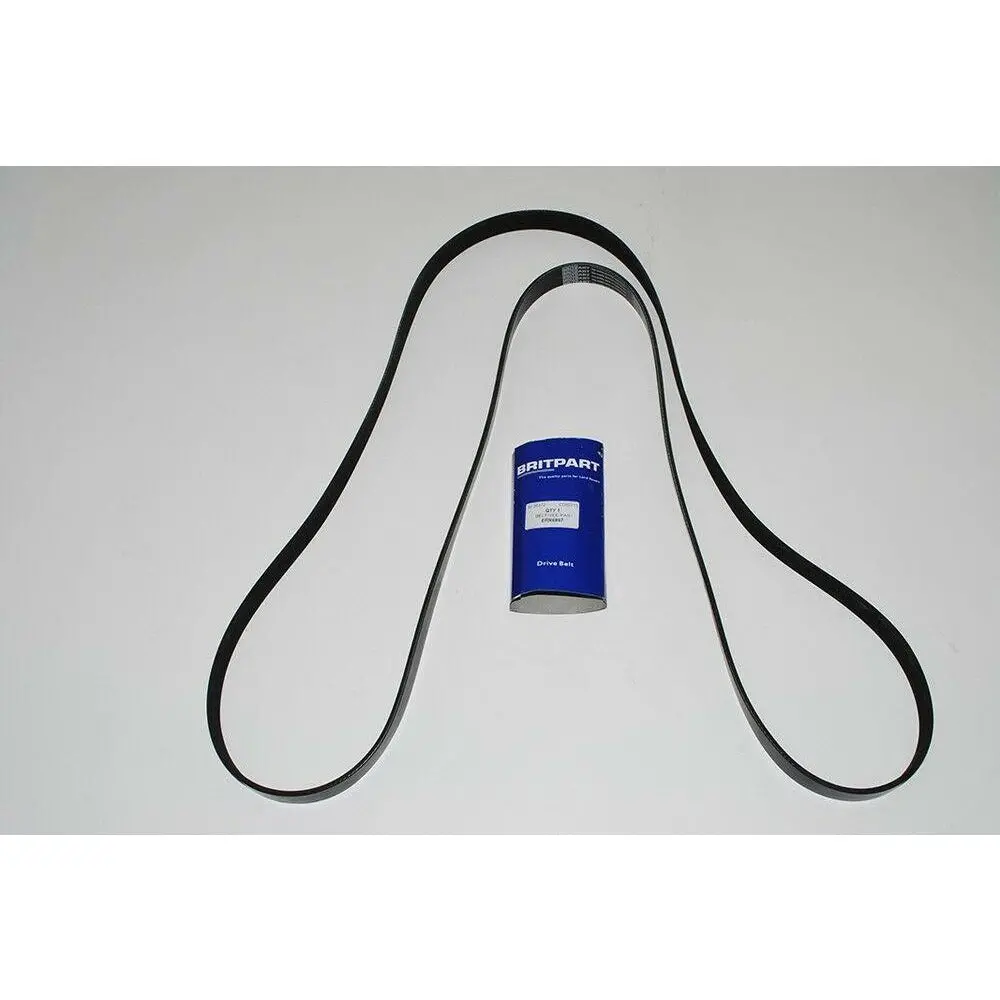 Alternator Belt 1