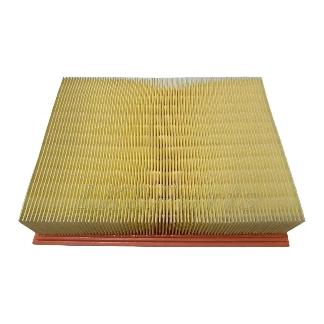 Air Filter Genuine 1