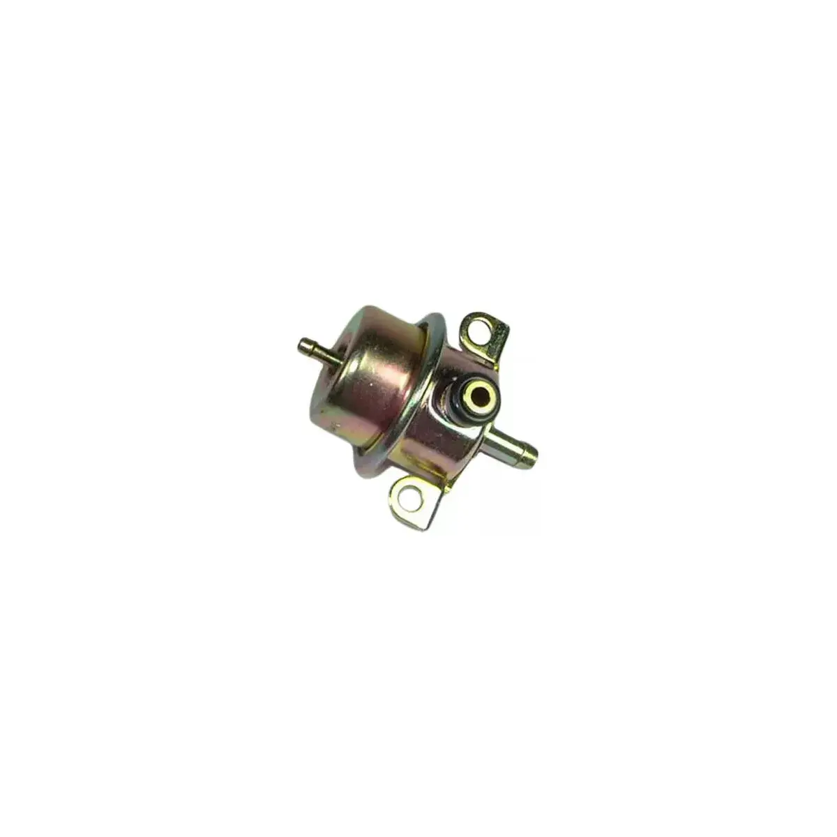 Fuel Pressure Regulator 1