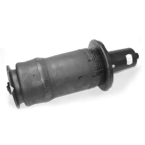 Front Air Spring Suspension Strut 1