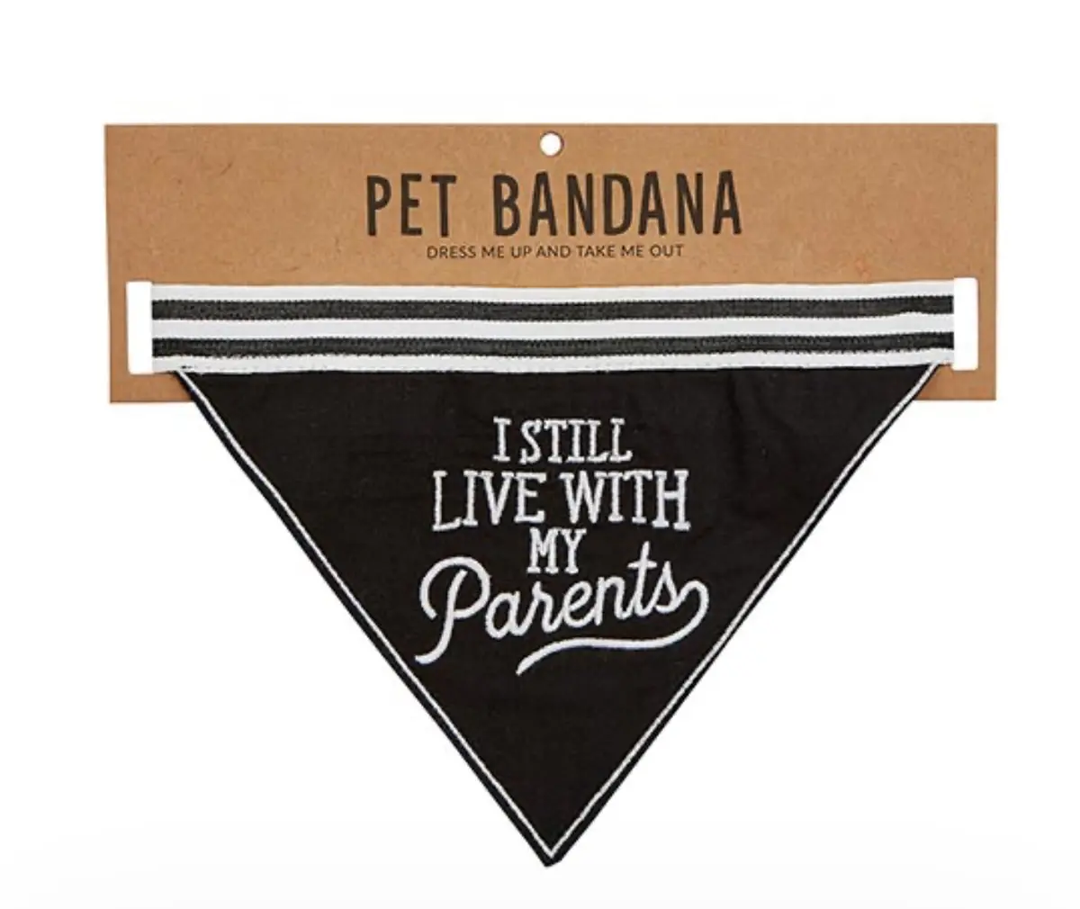 I Still Live With My Parents Pet Bandana 1