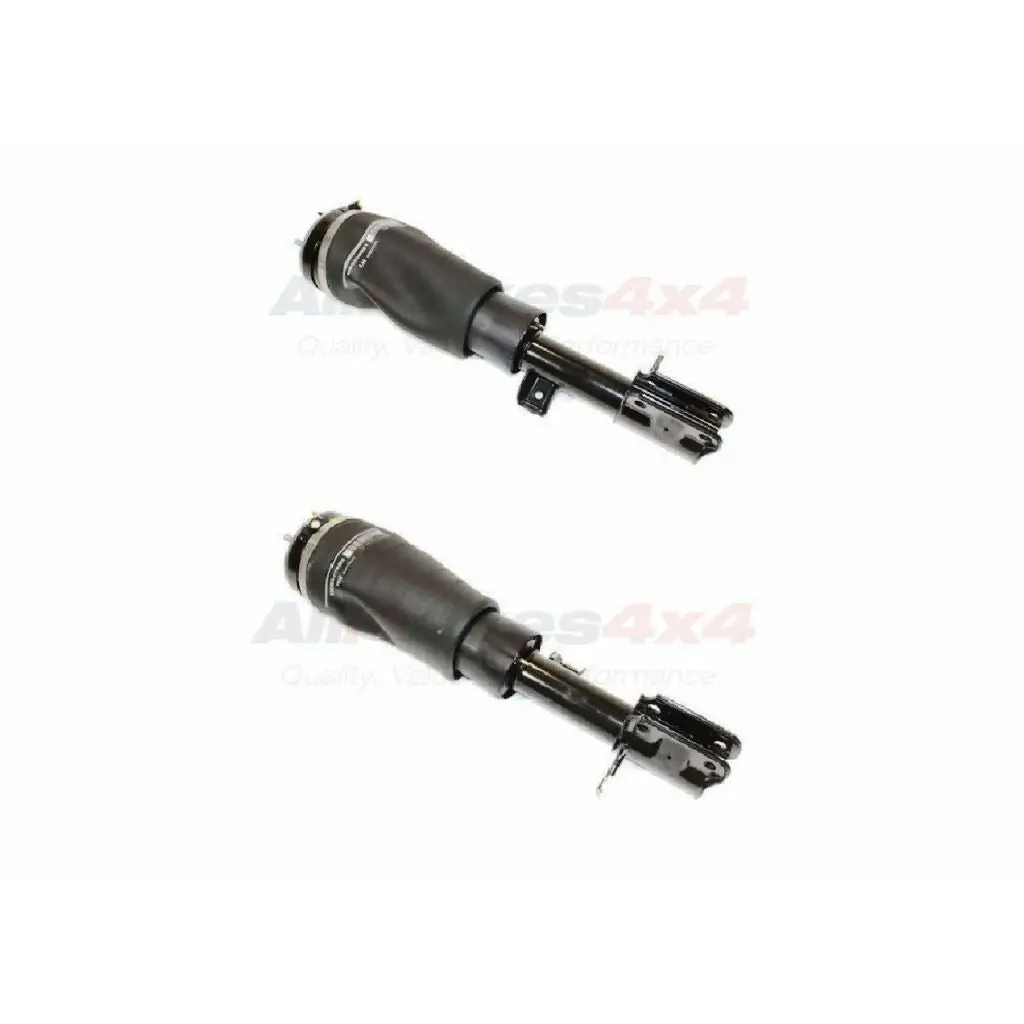 Air Shock Suspension Strut Set X2 Rh Lh 1