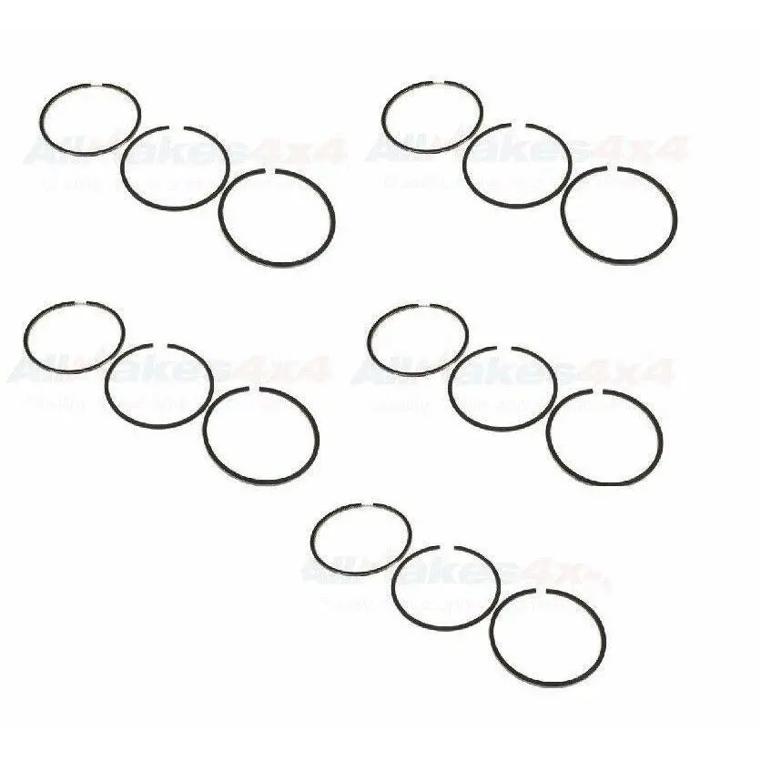Piston Ring Set X5 Td5 Diesel 1
