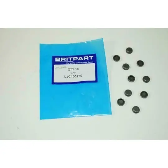 Valve Cap Stems Set Of 10 1