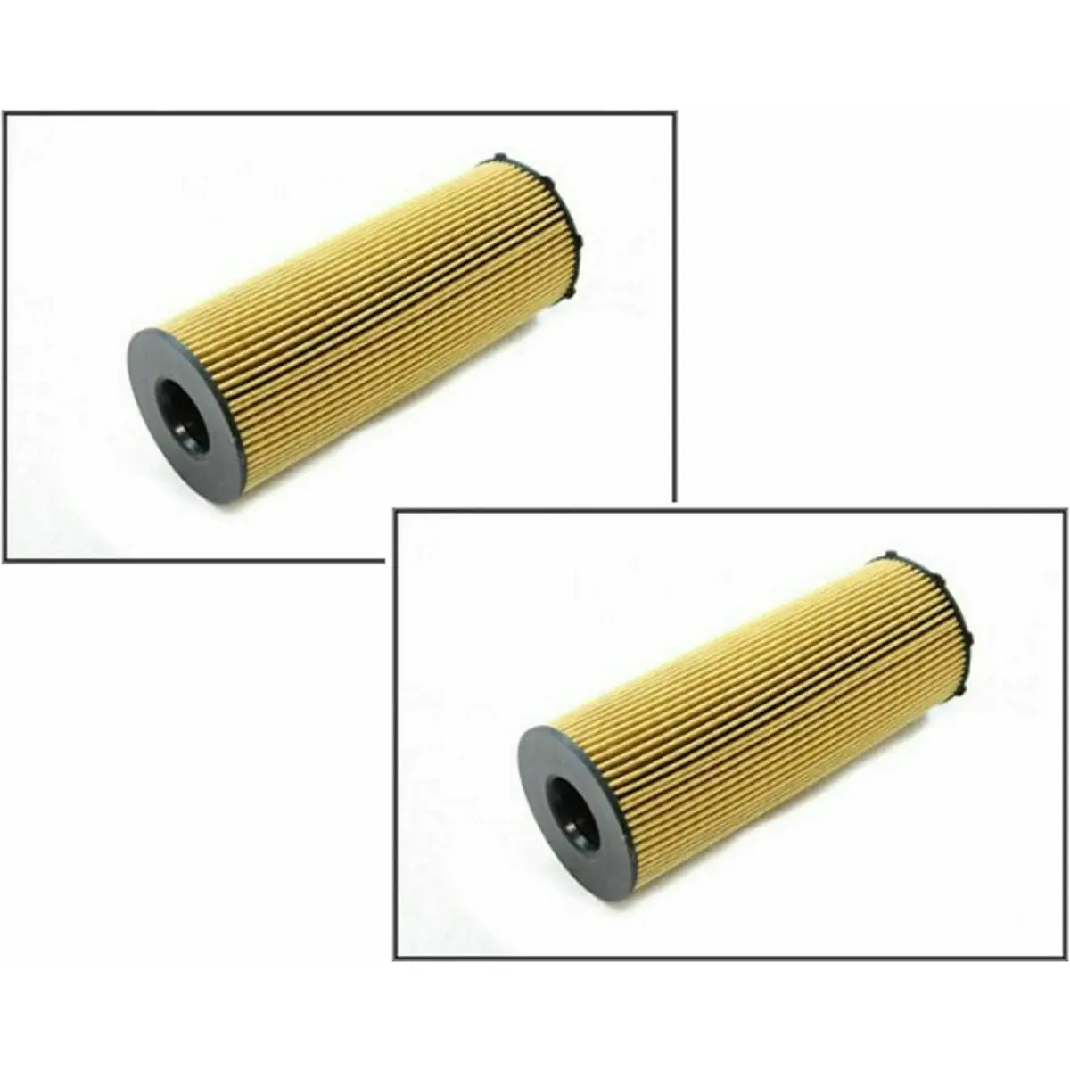 Lion Diesel 3.6 V8 Oil Element Filter Set X2 1