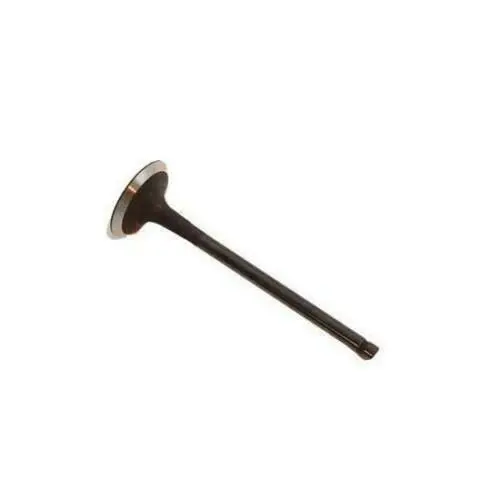 5.0L Exhaust Valve 1