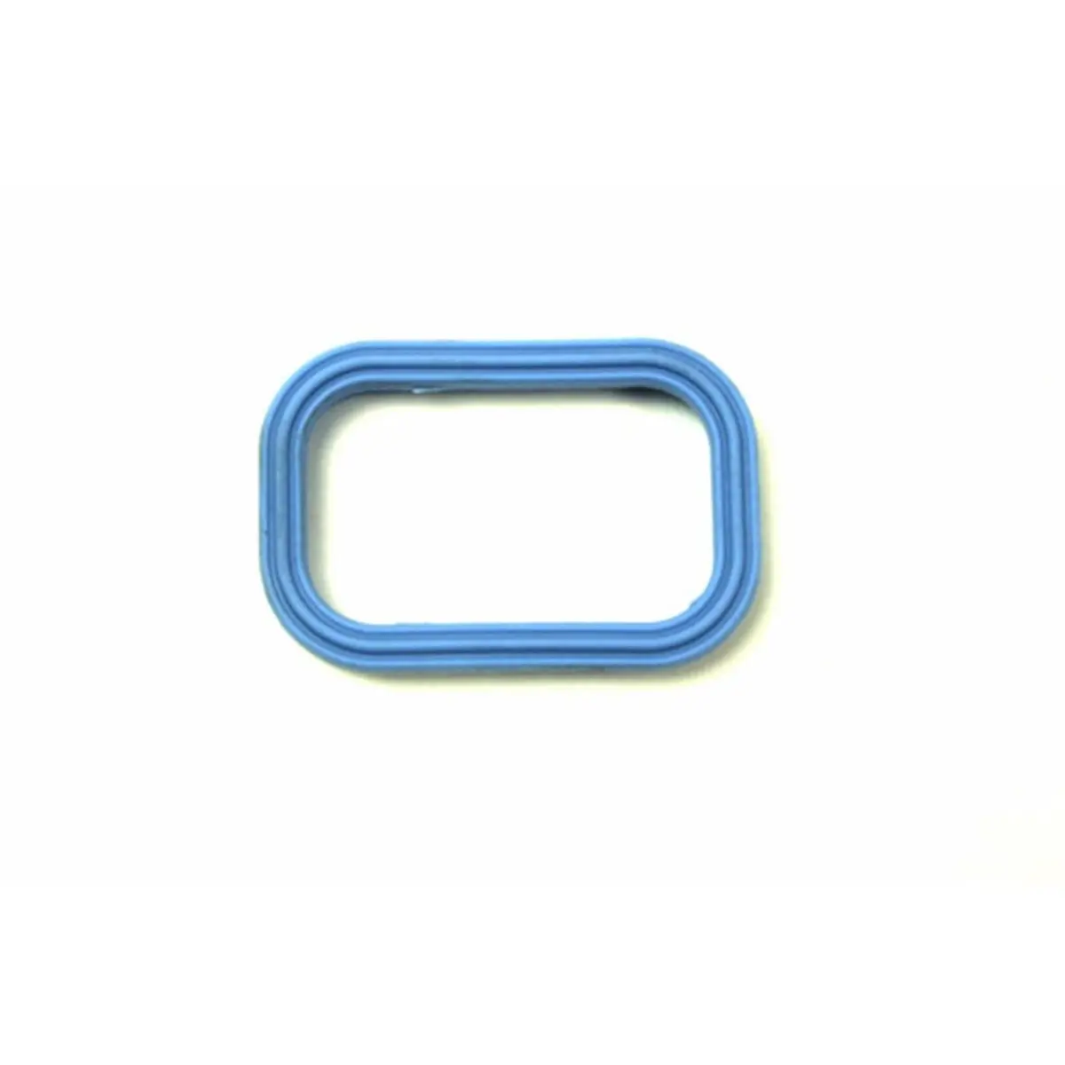 Diesel Manifold Inlet Seal 1