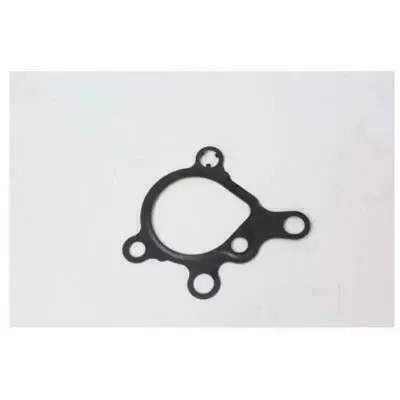 Fuel Pump Gasket 1