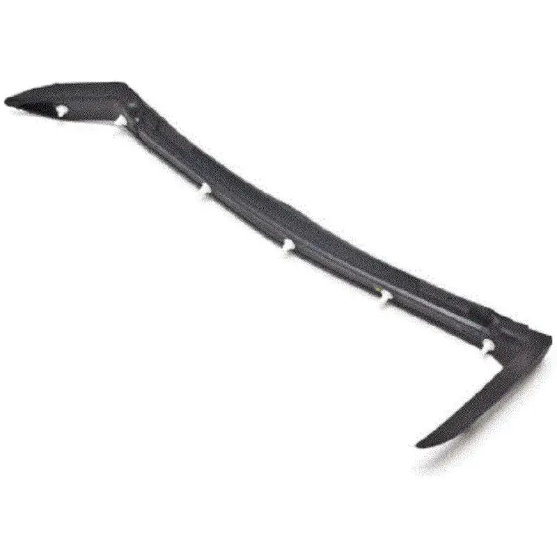 Lower Right Hand Rear Door Weatherstrip 1
