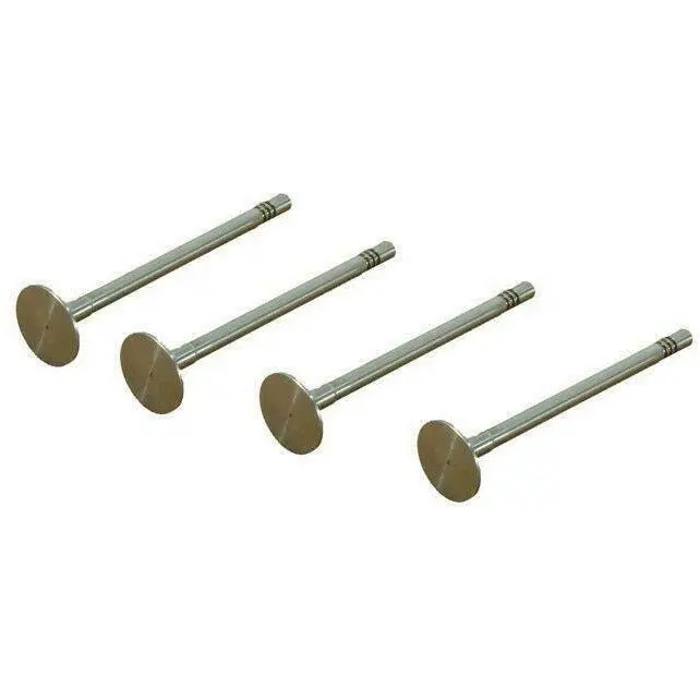 Engine Inlet Valve 1