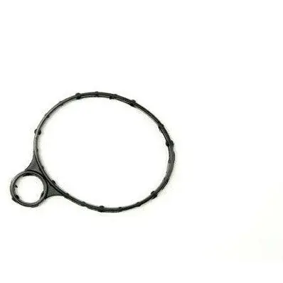 Vacuum Pump Seal 1