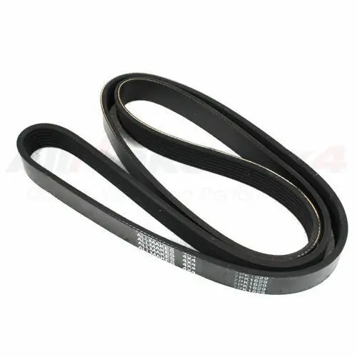 Primary Drive Serpentine Belt 1