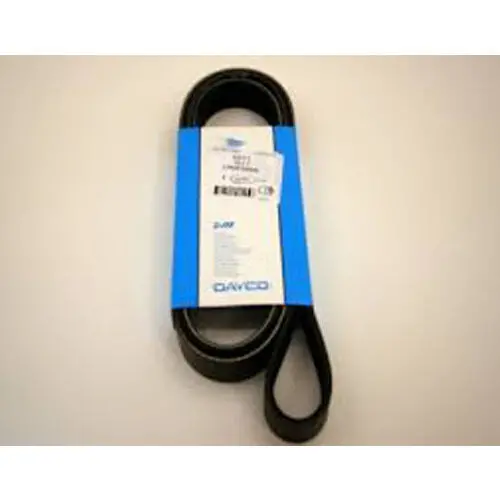 Primary Drive Serpentine Belt 1