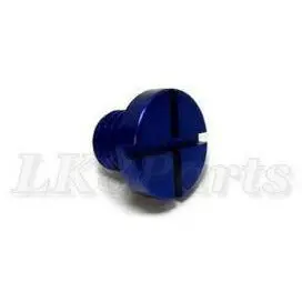 Bleed Screw Blue 1
