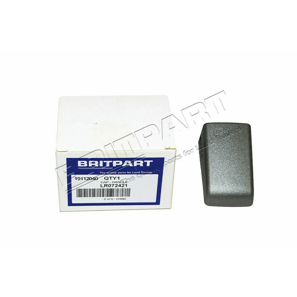 Driver Door Handle Cap Cover 1