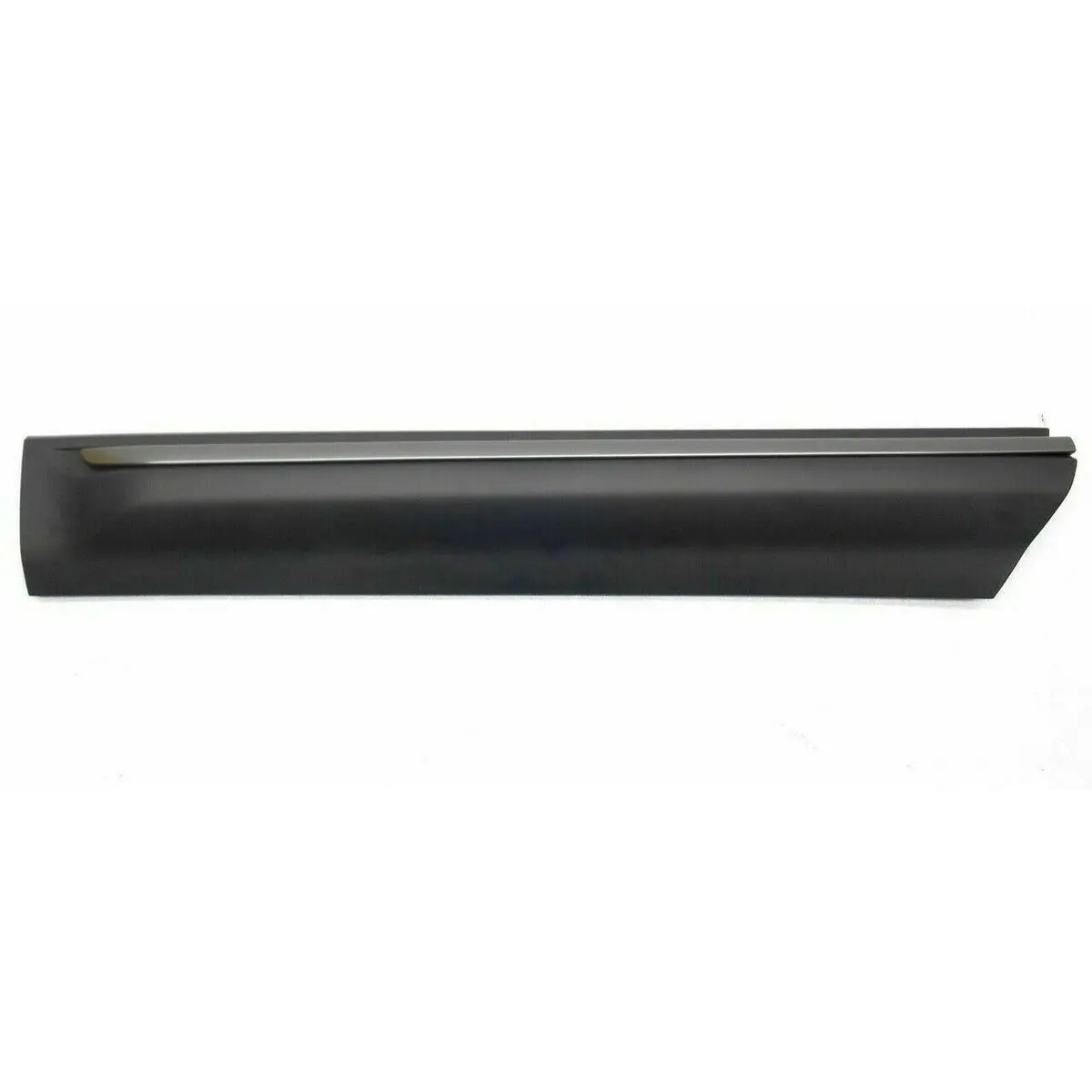 Coupe Driver Side Door Lower Body Molding Genuine 1