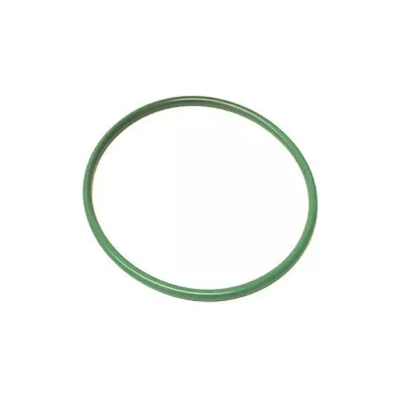 Fuel Tank Pump Seal Gasket 1