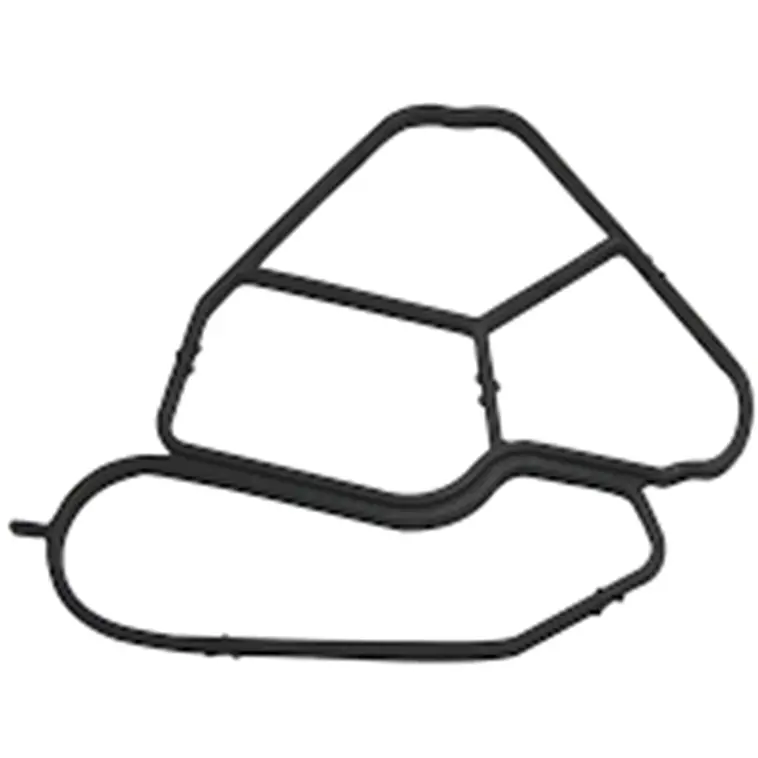 Engine Oil Cooler Gasket 1