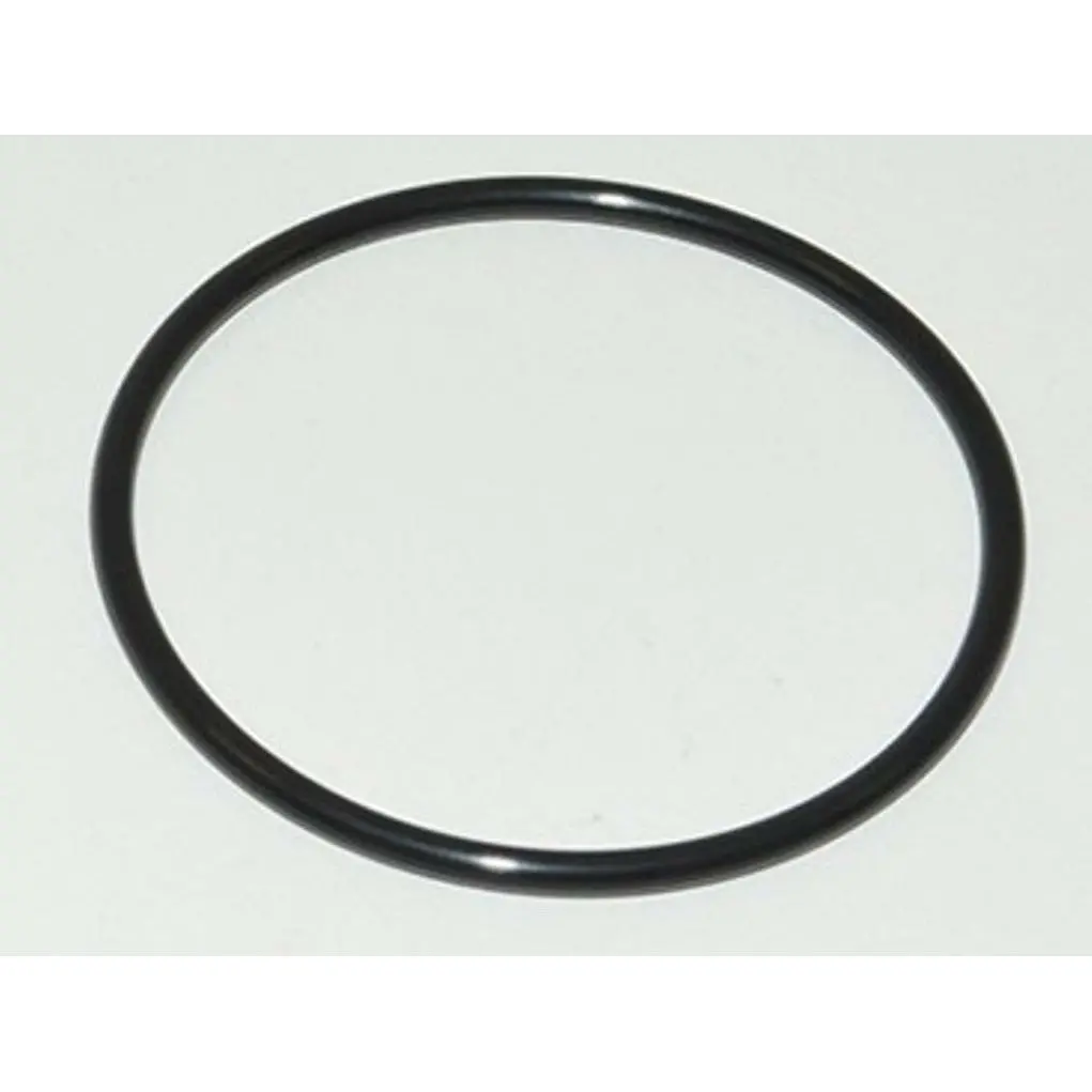 Thermostat O Ring 4.4L V8 1