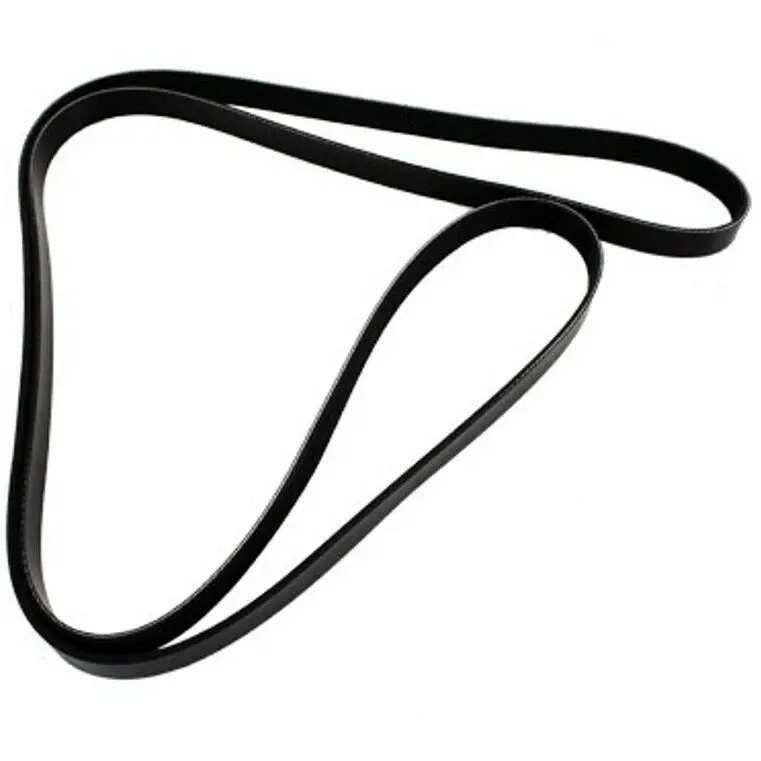 Primary Belt Dayco 1