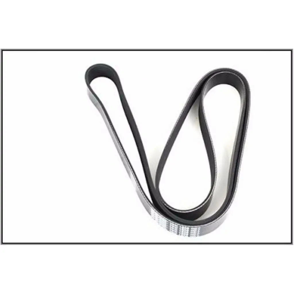 Td5 Diesel Polyvee Drive Belt Pqs101500 Dayco New 1