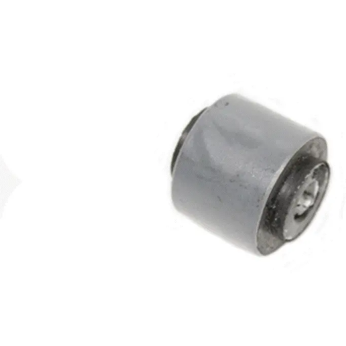 Hub Carrier Bush 1