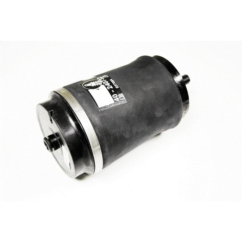 Rear Air Spring Strut Rkb500240 Genuine New 1