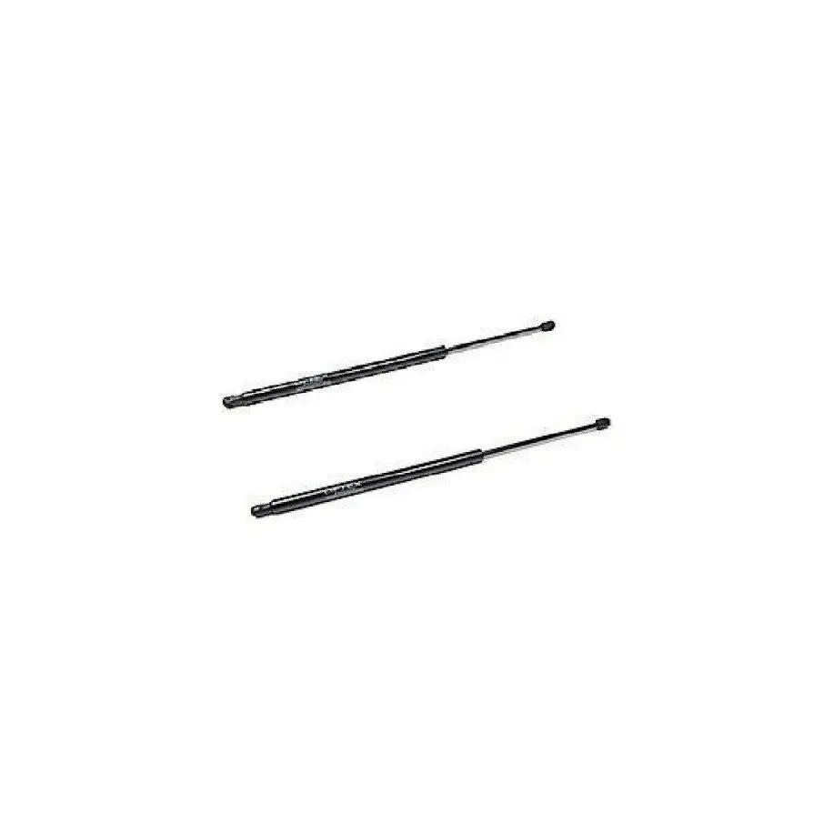 Tail Gate Door Strut Lift Set Lh Rh 1